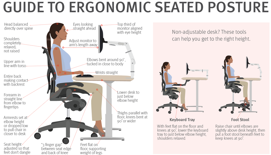 Guide to Ergonomic Seated Posture